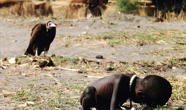 1994年,一张名为《饥饿的苏丹》的照片,轰动了全世界,拍摄照片的摄影