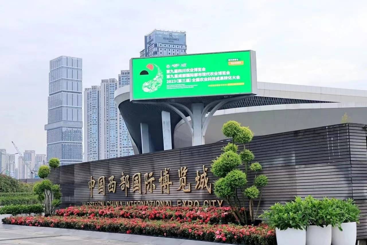 文章配图-2