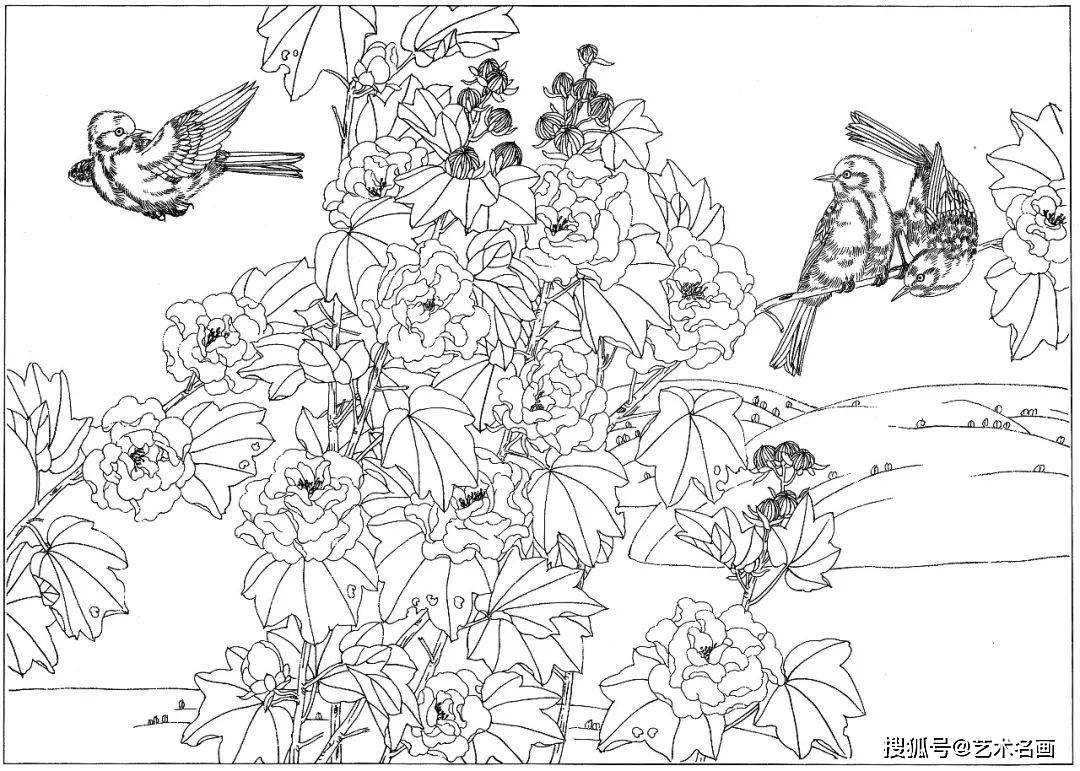 一组40幅工笔花鸟小品白描素材图︱艺术名画_手机搜狐网