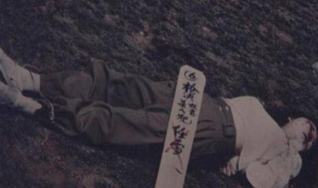 1992年的夏天,任雪被依法执行了死刑,就这样又一个花季少女离开了这个