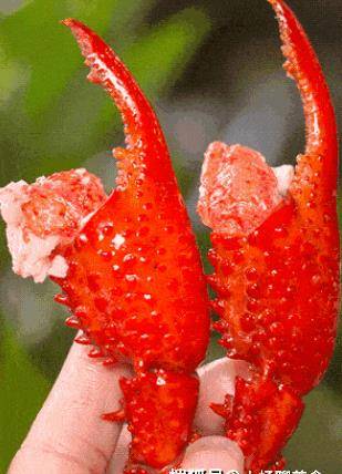 吃小龙虾的时候只吃虾尾吗?海鲜店老板:我每晚都能挑十几斤肉!