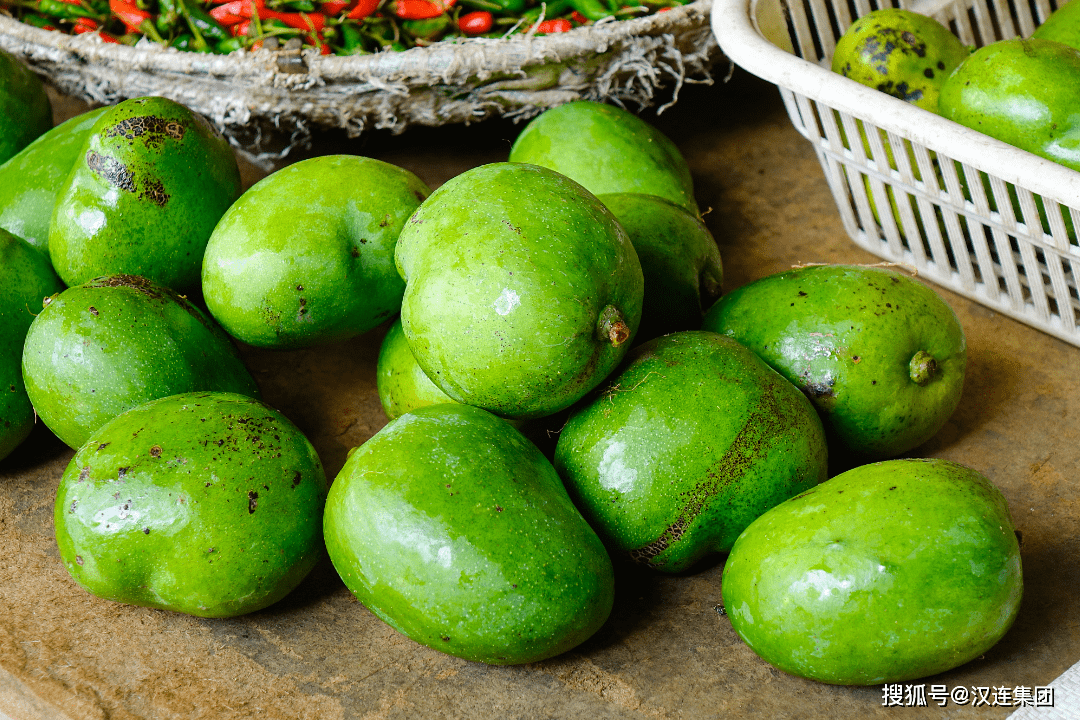 进口老挝鲜食芒果植物检疫要求知多少_果园_监测_包装厂