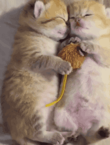 搞笑图片幽默段子笑话:超市大妈,你以为我不认识茄子吗?