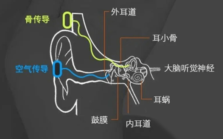 耳机戴久了耳朵太痛了怎么办？久戴无负担的骨传导耳机分享来啦
