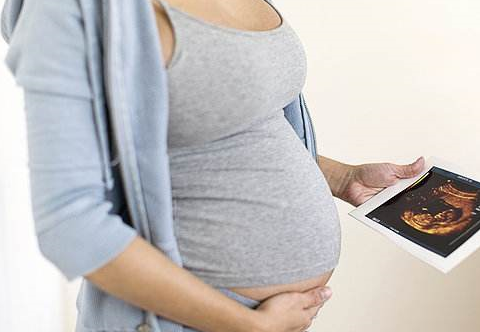 怀孕2周的宝宝b超图图片