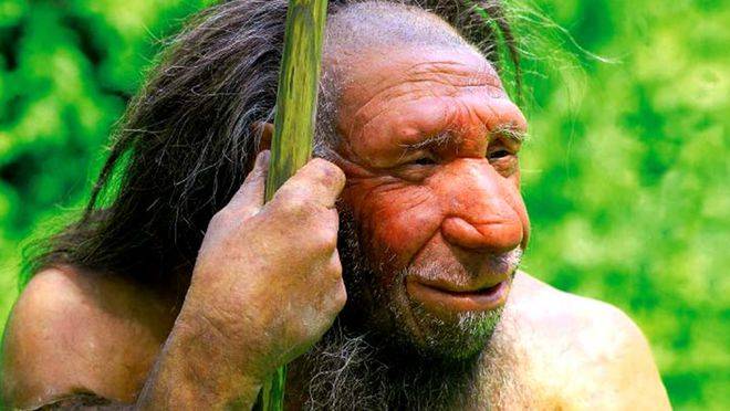 “安德”强壮聪明的尼安德塔人为什么灭绝？1964年11月3日蓝田猿人被发现