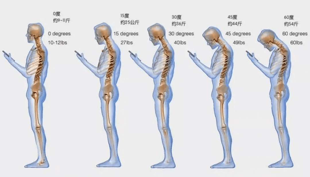 坐姿对腰椎的压力图图片