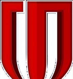 蓉城红·遇见未来 - 成都蓉城主场对阵深圳队_比赛_胜利_联赛