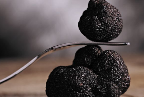 全球6种"顶级"食材,黄鳍金枪鱼不算什么,最后那只虾厉害了_食物_鲍鱼