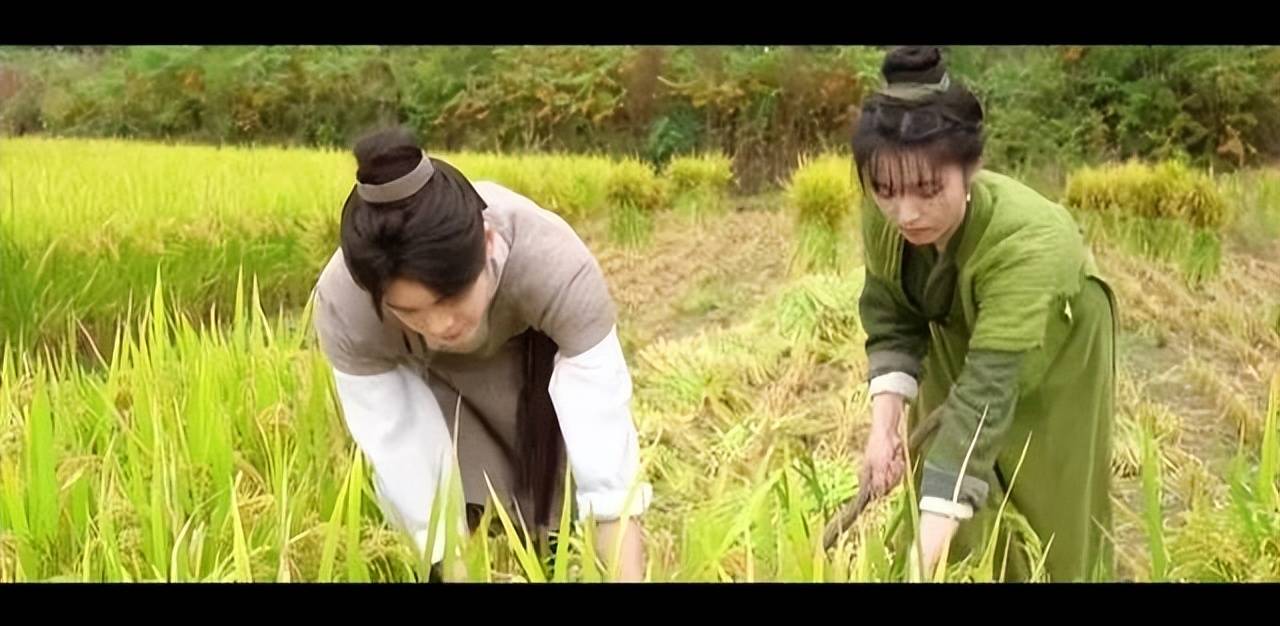 《田耕纪》大结局:二两银子引争议,连蔓儿真的从古代离开了吗?