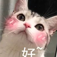 小伙儿救猫心切爬上树,结果猫没救下来,自己也下不来了… 小伙儿救猫心切爬上树,结果猫没救下来,自己也下不来了…