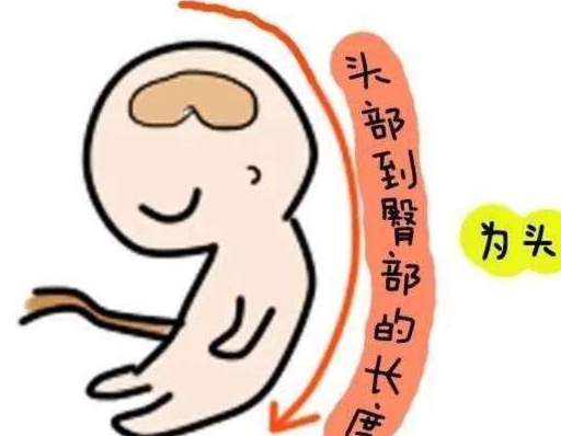 3个月胎儿b超单,9个指标详细解析,一看就懂,孕妇:帮助太大了_子宫