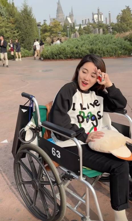刘纯燕:有个好姑爷,王逸宸去环球影城玩女婿"全程用轮椅推着"_北京