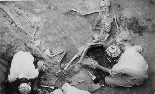 规模处决并被肢解,几个成年男子带着70余名妇女和儿童逃到了寺庙当中