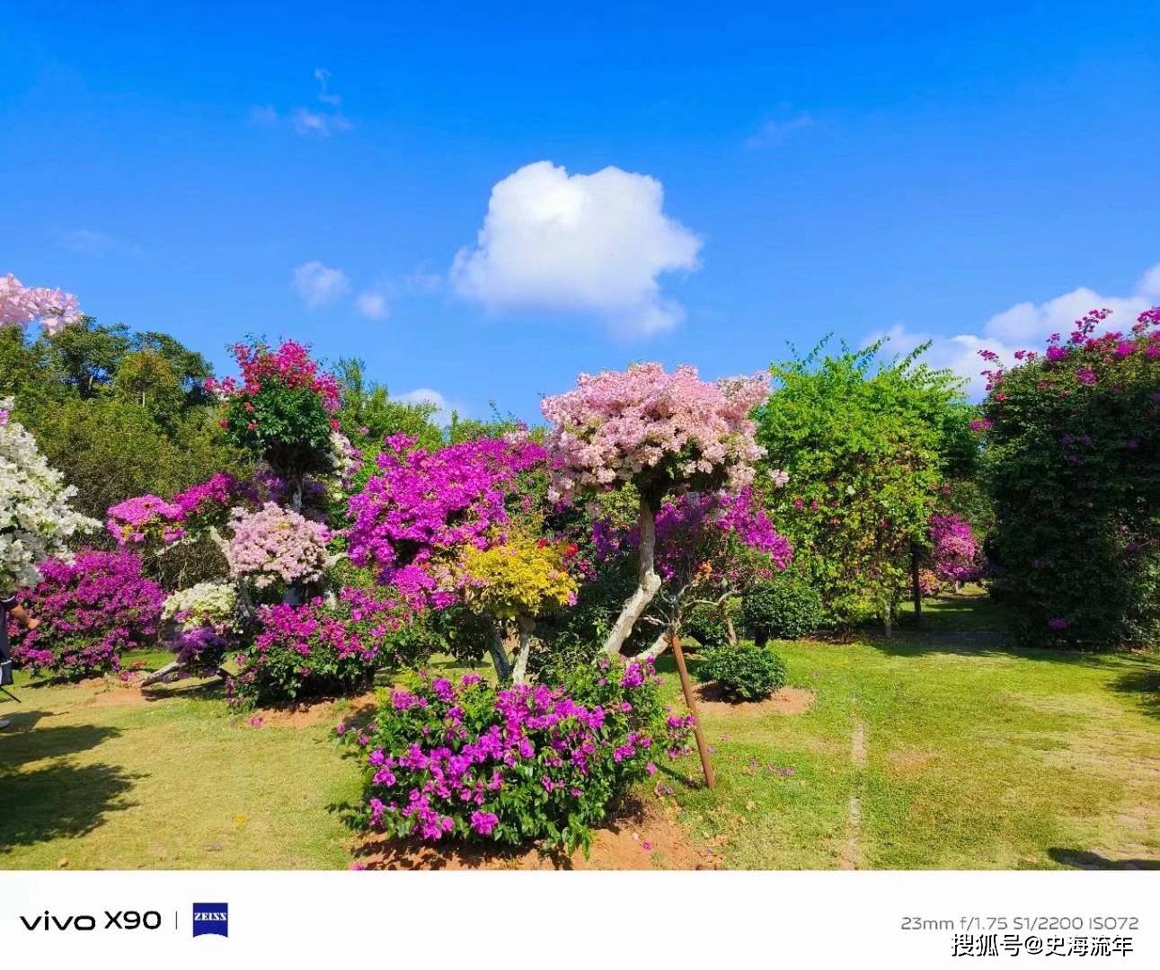 游记:七彩边陲,水拍澜沧江诗壮美;三江风景,歌飞湄公河画神奇_景洪市
