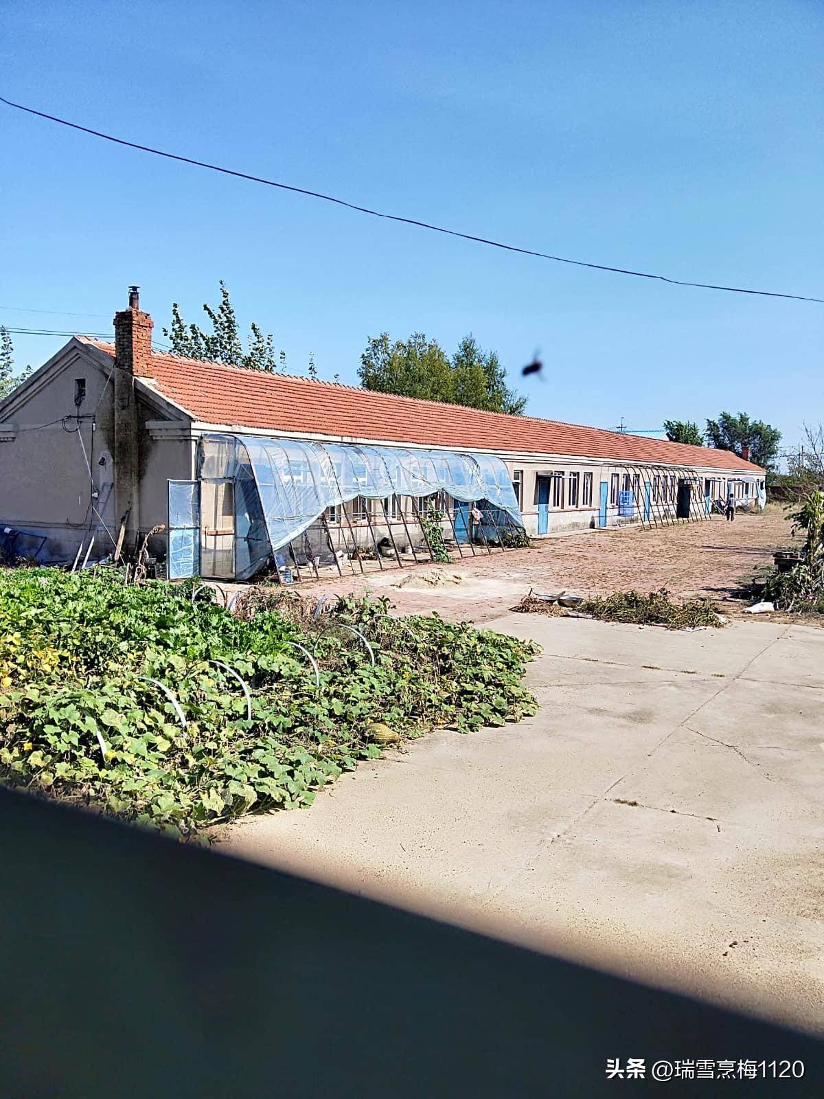 地名档案 | 沈北新区黄家街道高坎村_沈阳市_长河_辽河