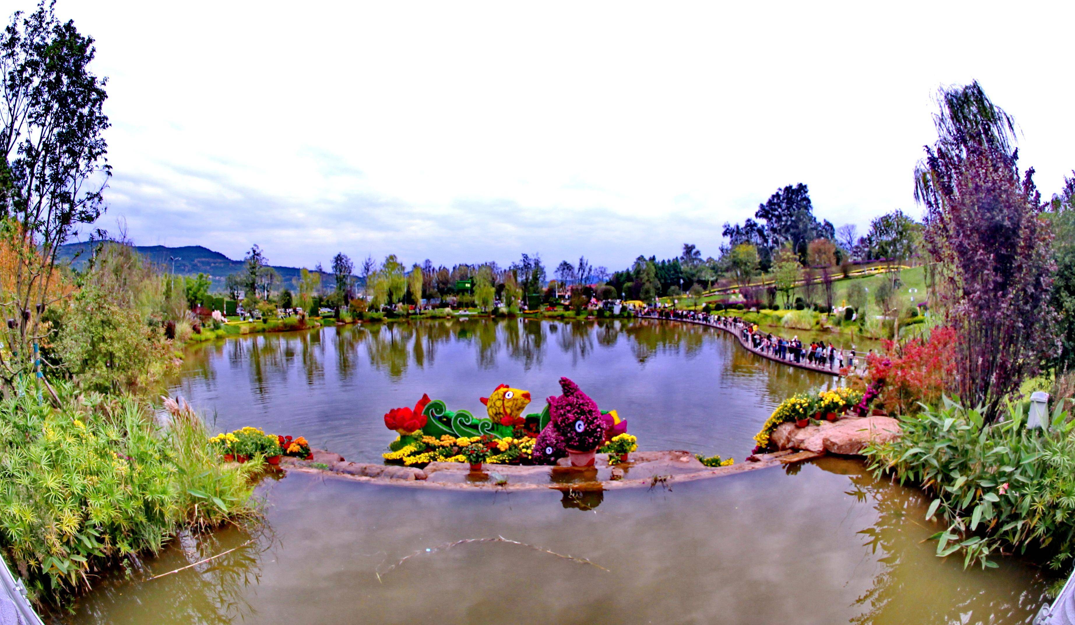 旅游四川·梓潼|图说文昌公园菊花展 现场看懂人间"富贵花"_文化_活动