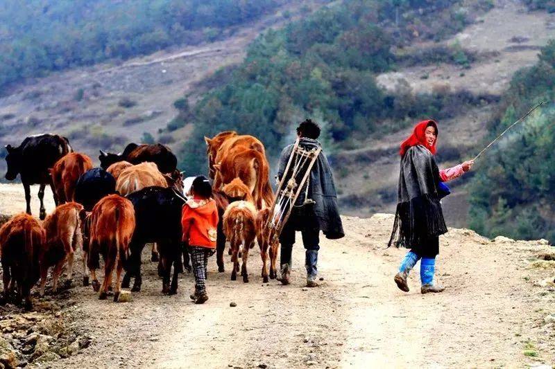 魅力大凉山彝族传统祭祖仪式活动经典摄影团_西昌市_美姑_文化