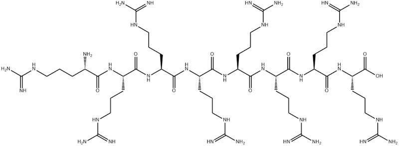 八聚精氨酸,148796-86-5,r8,octaarginine,在酸性条件下是稳定的