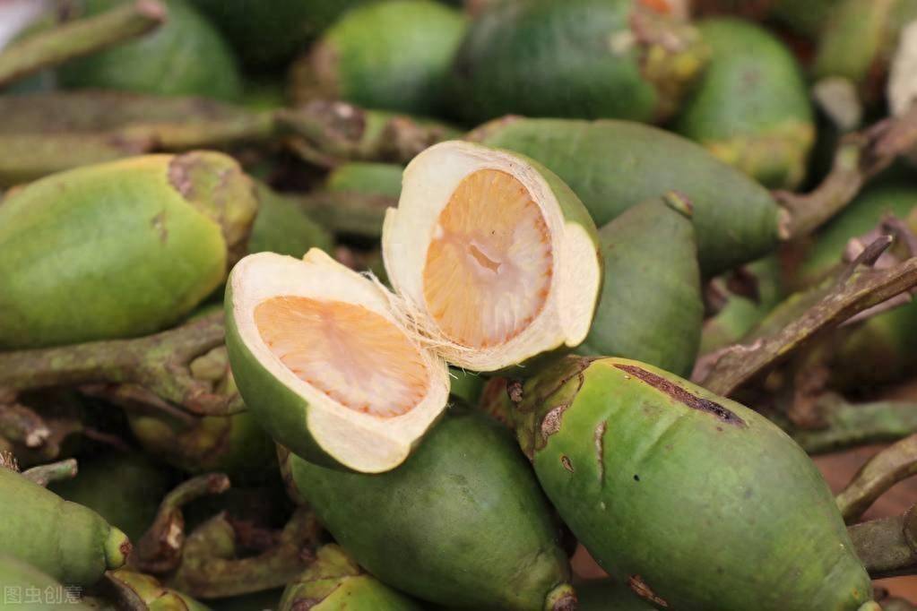 槟榔果实被称为恶魔,为何有6000万中国人欲罢不能?_危害_物质_人们