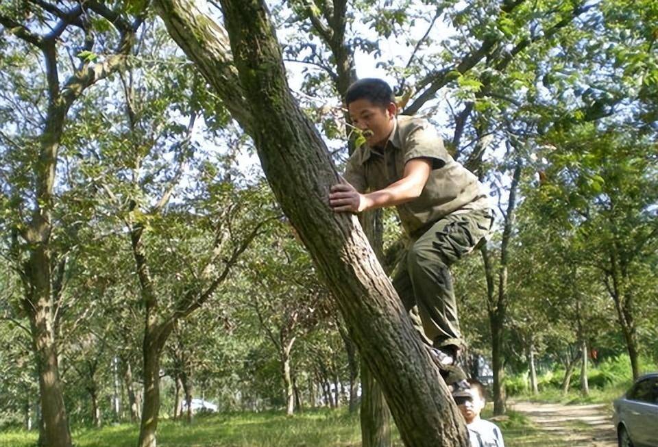 因掏鸟窝被判10年的男孩出狱,父亲:判的比人贩子还重_幼鸟_小军_保护