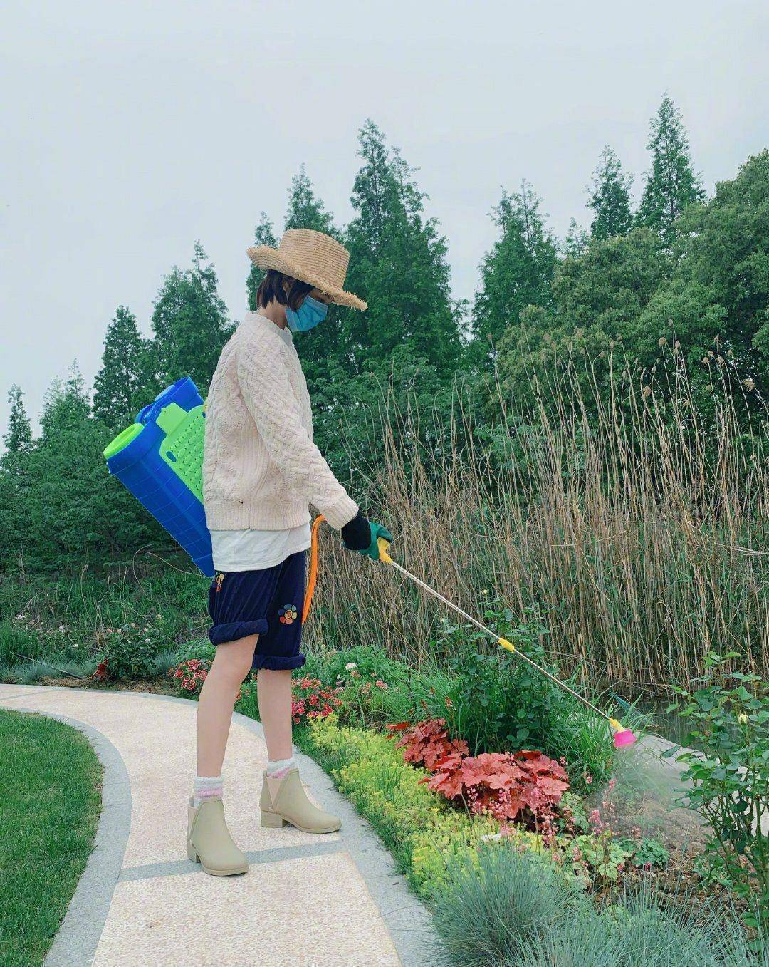 张馨予家里是有矿吧?