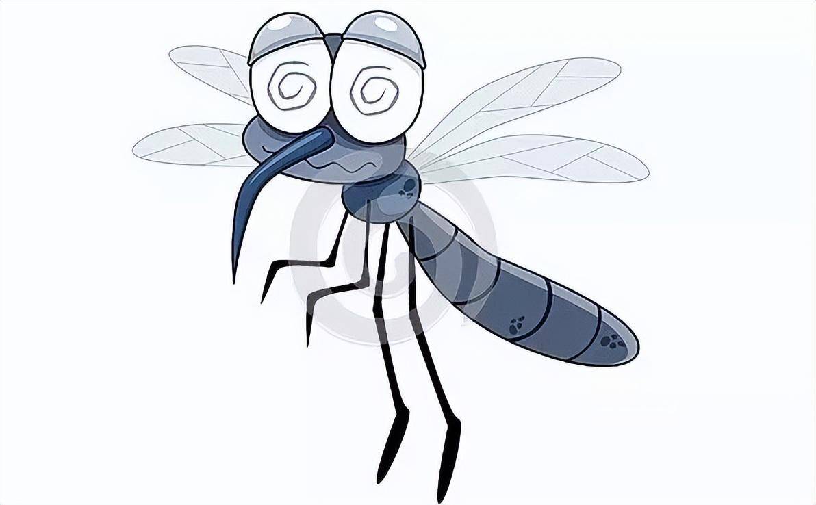 我们应该加强花蚊子的监测和预警体系,及时发现它们的