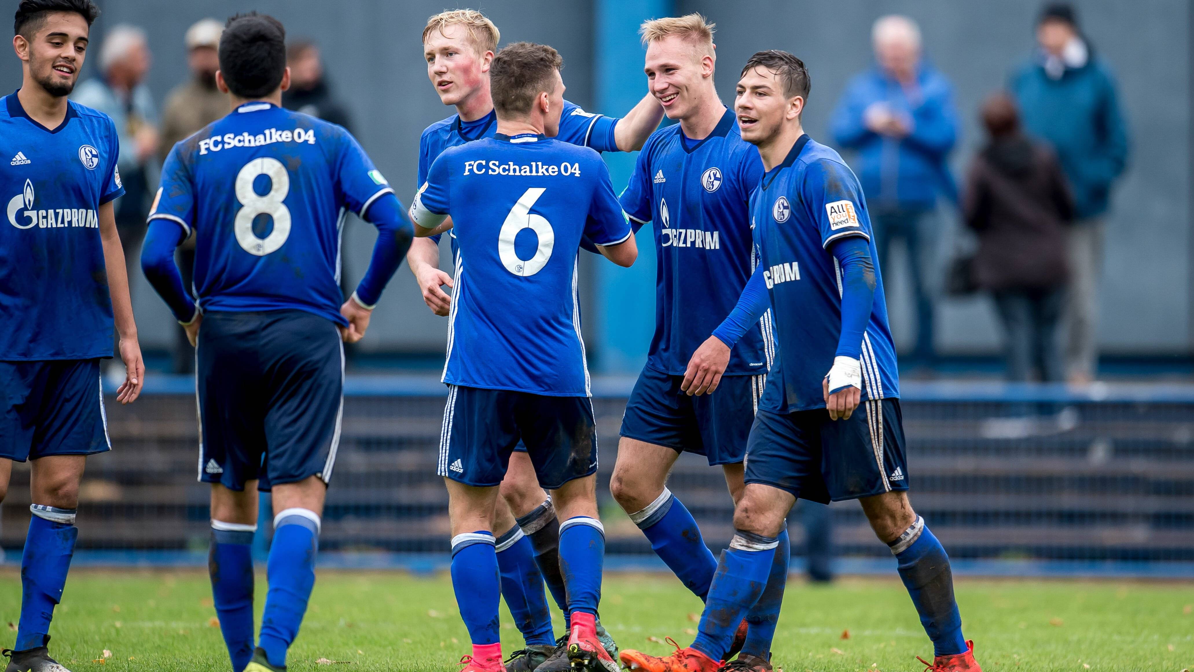 沙尔克04vs埃弗斯堡_赛季_比赛_凤凰