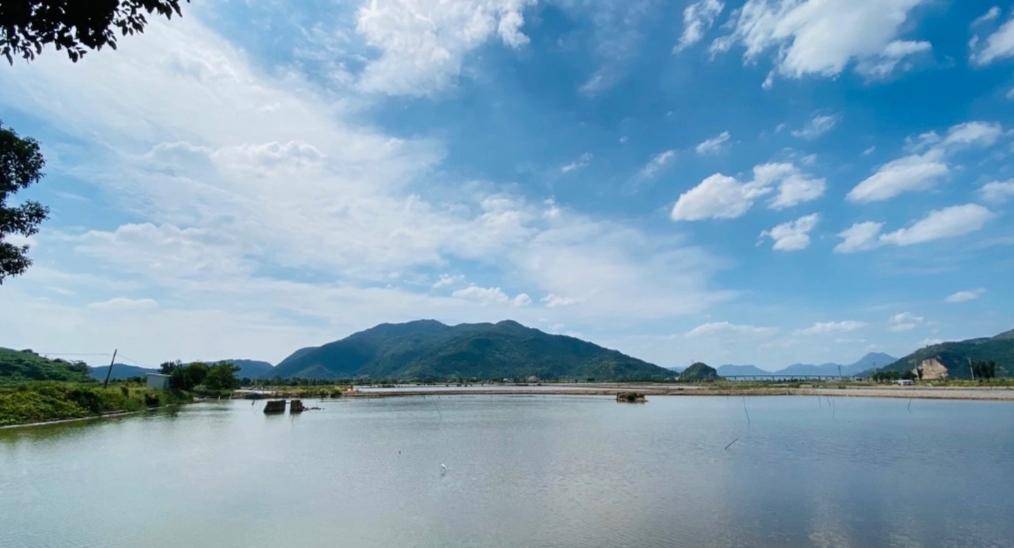 白沙岛村:温州乐清市的一颗璀璨明珠