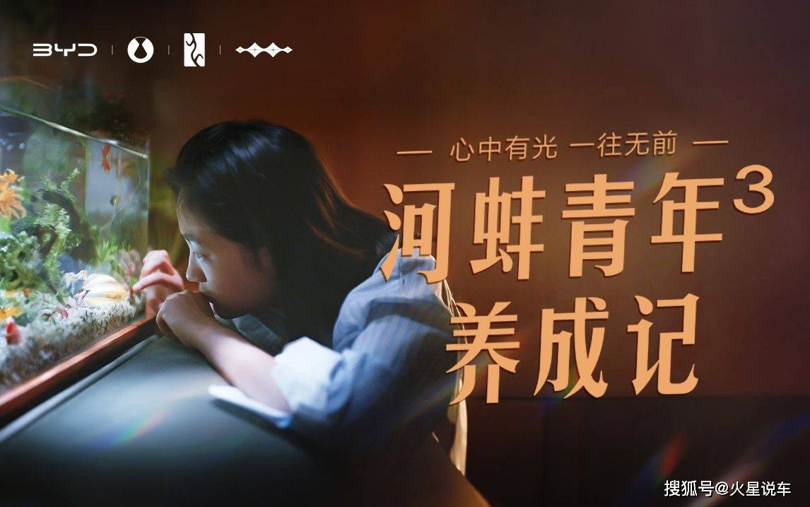 什么是河蚌青年？恰如比亚迪，心中有光一往无前_搜狐网