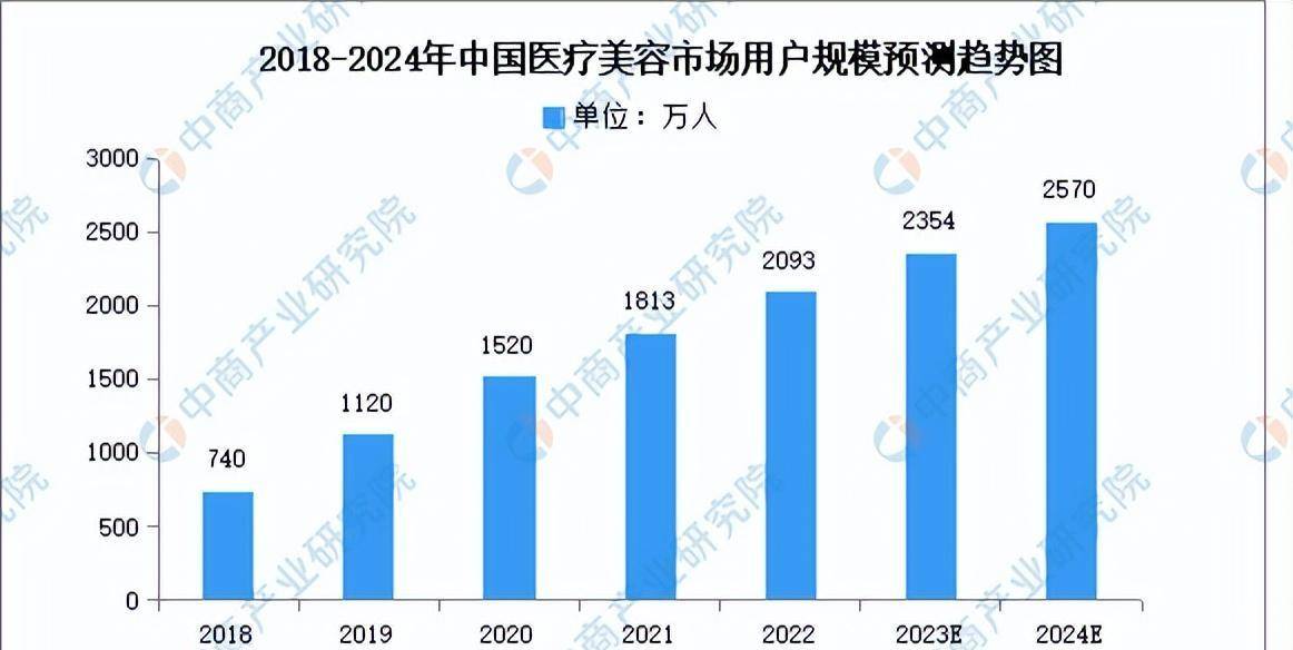 2024年中国医疗美容行业市场前景预测研究报告(简版)
