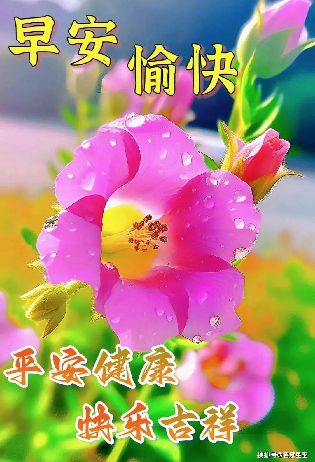 早上好节日快乐图片图片