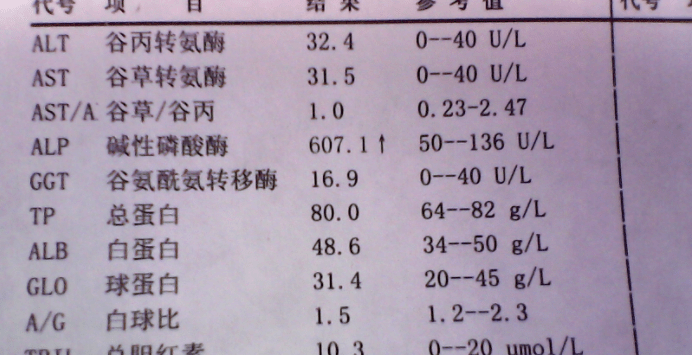 碱性磷酸酶是什么意思图片