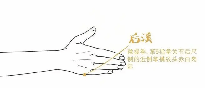 最全"经络穴位拍打操",治百病!自己就是最好的医生!_功效_方法_治疗