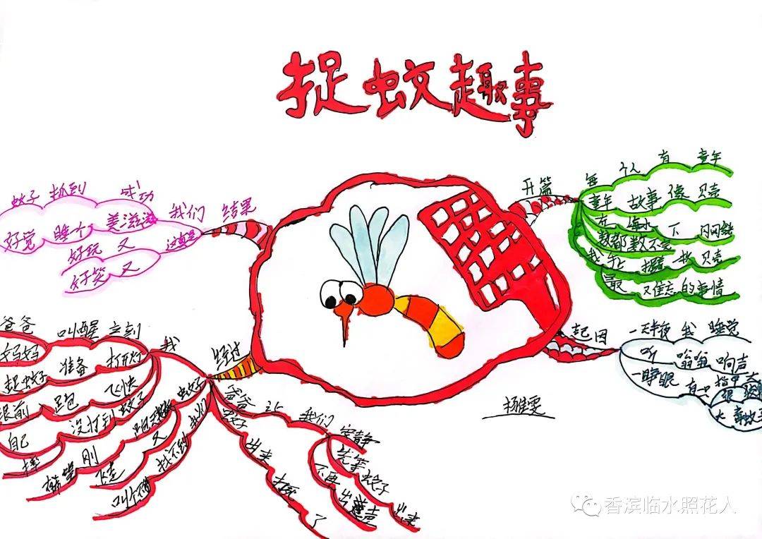 【思维导图"画"作文—四年级生活万花筒】金宛宣《校园趣事》