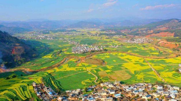 隆阳区丙麻乡白玉村:三产融合打造农旅新业态_发展_油菜_农户