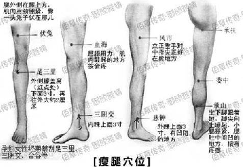 针灸大腿减肥示意图图片