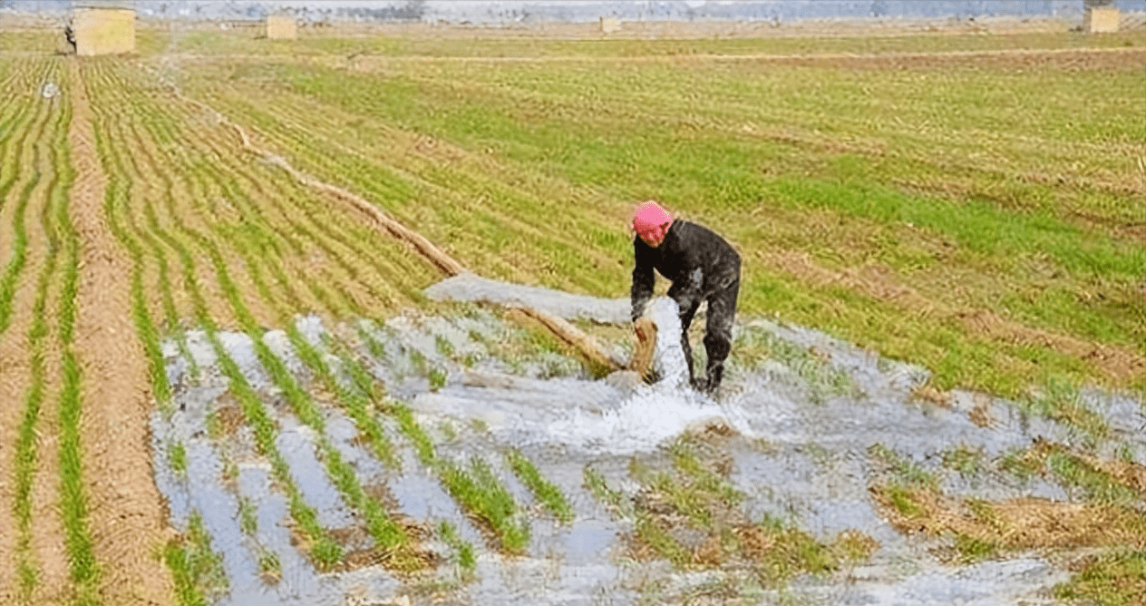 cm土壤相对含水量60—95,墒情适宜,河北中南部部分农田土壤表墒不足