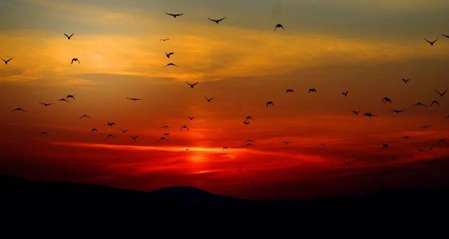 家电专卖店竞争格局正走向寡头化：2+3阵营浮出水面-家电圈官网