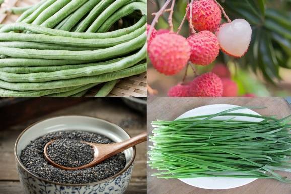 肾阳虚吃什么最好?这十种食物你知道吗?_功效_治疗_作用