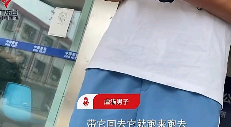 广东一小伙偷走他人的宠物猫，虐杀后喂食自家猫咪，最后道歉赔偿