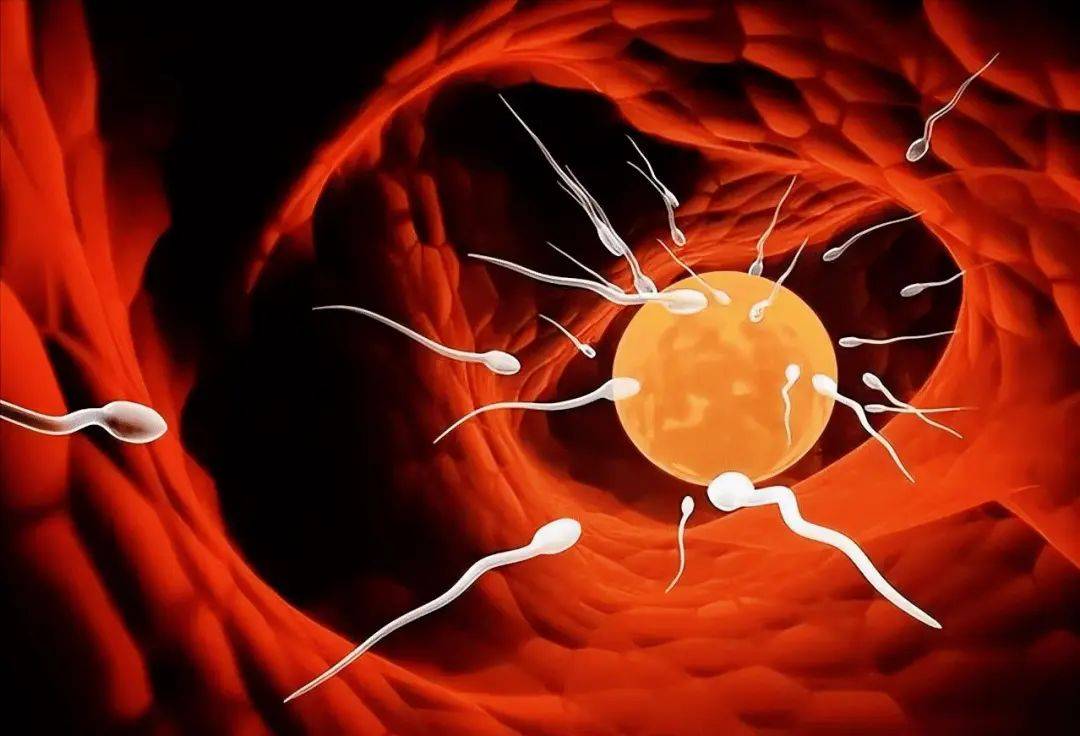 德国科学家的惊人发现: 纳米机器人助精子受精：