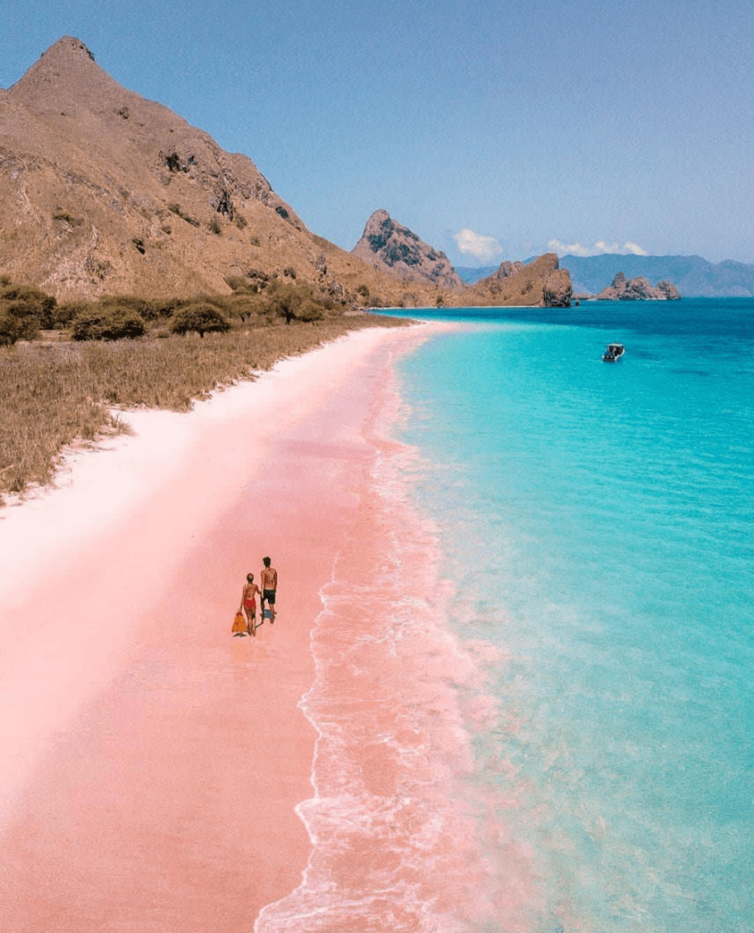 想看充满少女心的浪漫粉色沙滩,也不用大老远跑去巴哈马,科莫多岛就有