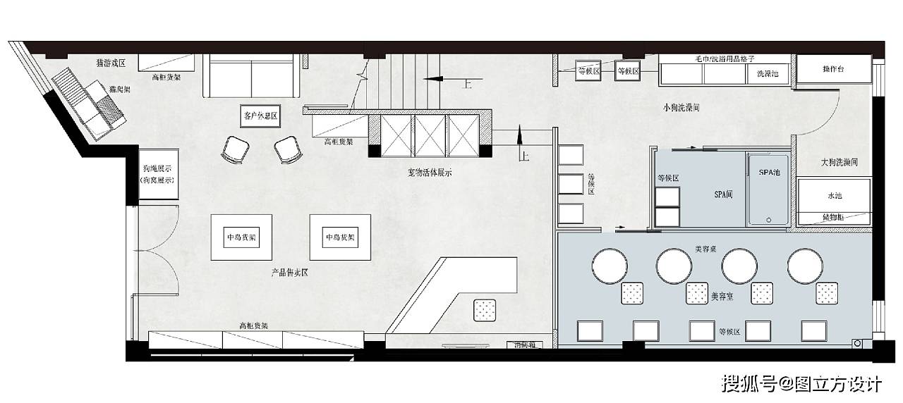 如何合理化设计宠物店的空间布局?