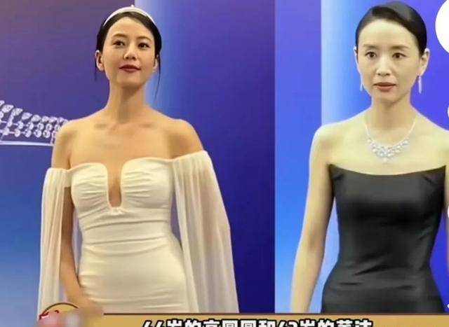 43岁董洁近照瘦脱相,眼窝凹陷身材干瘪,被说像老太太_东杰_生活_活动