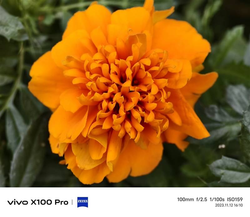 拍月亮那都不是事儿！vivo X100 Pro评测：APO认证的超级长焦 它能拍太阳(图44)