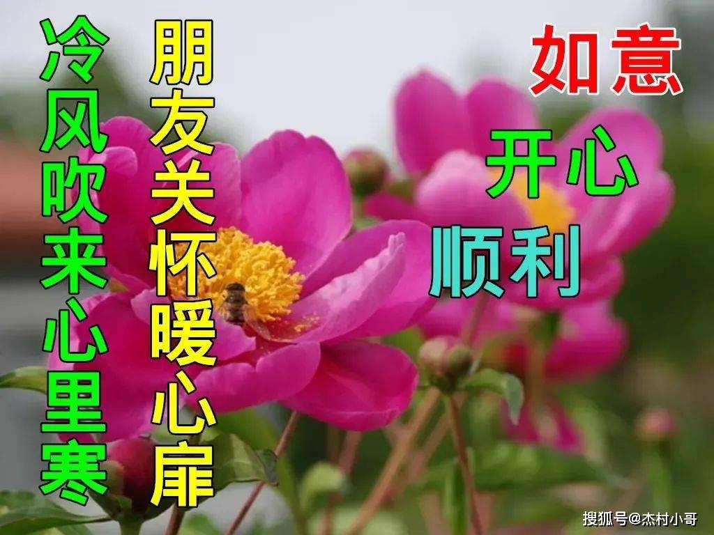 11月19日特别漂亮的早上好动态图片表情包大全