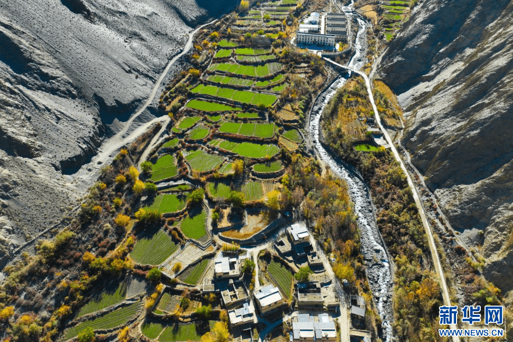 11月16日,西藏隆子县加玉乡境内拍摄的村庄与农田(无人机照片).
