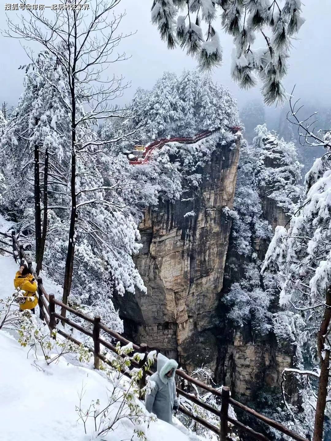 冬季旅游去哪儿玩-到张家界天门山凤凰古城看雪景吧,吃住玩_袁家界