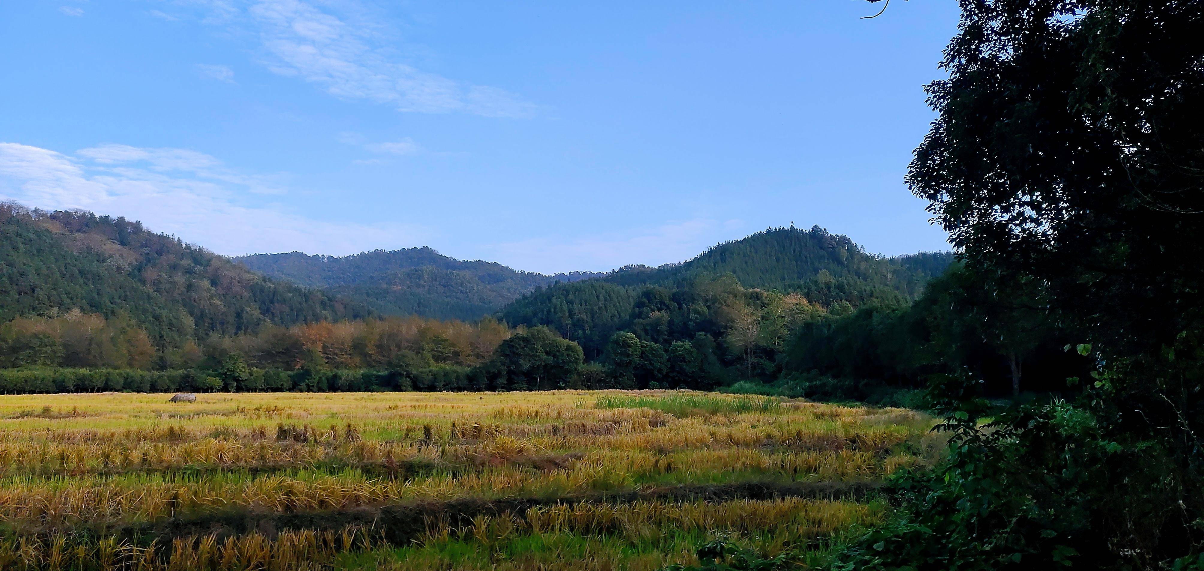 绿野山庄景区图片